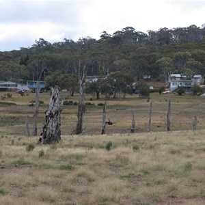 Fishermens residences.