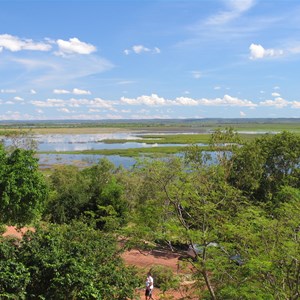 Window On The Wetlands