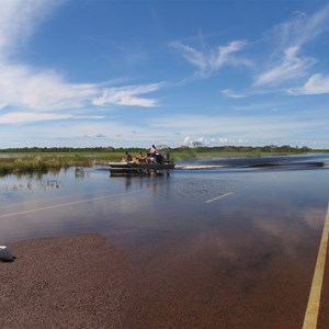 Window On The Wetlands