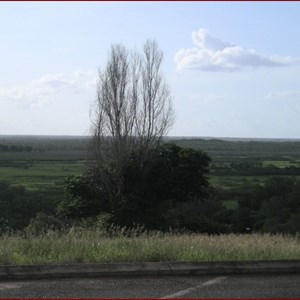 Window On The Wetlands