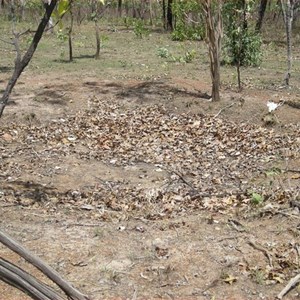 World War II Airstrip Long