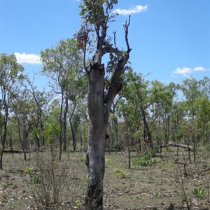 World War II Airstrip Long