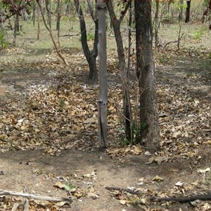 World War II Airstrip Long