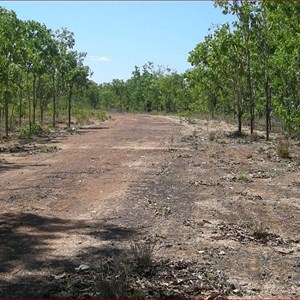 World War II Airstrip Fenton  