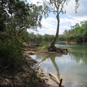 Woolianna Tourist Park