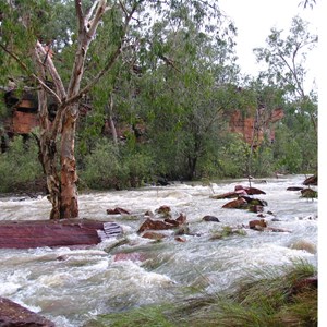 Umbrawarra Gorge