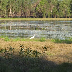 Sandy Billabong