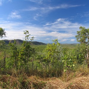 Gungurul Lookout