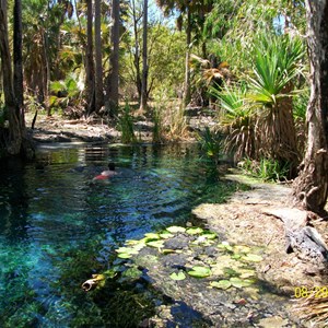 Mataranka Homestead Resort