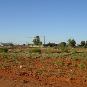 Papunya