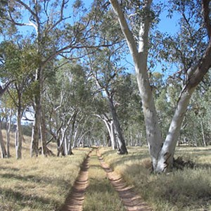 Lawrence Gorge