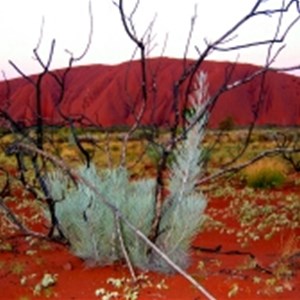 Ayers Rock (Uluru)