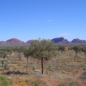 Kata Tjuta (the Olgas)