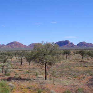 Kata Tjuta (the Olgas)