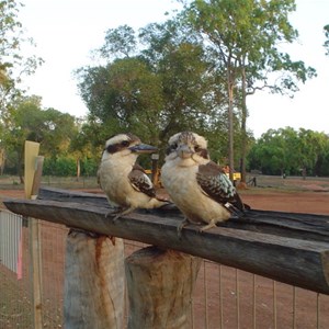 Hann River Roadhouse