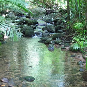 Mossman Gorge