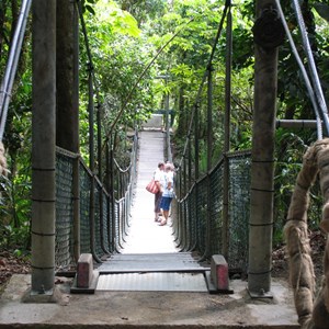 Mossman Gorge