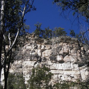 Carnarvon Gorge