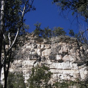 Carnarvon Gorge