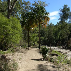 Carnarvon Gorge