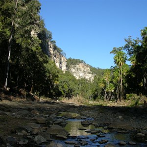 Carnarvon Gorge