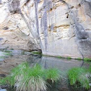 The river at Big Bend