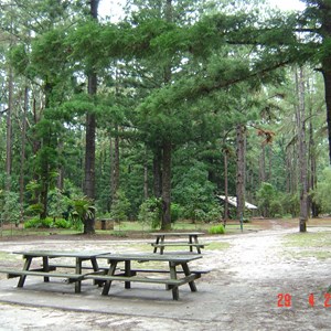 Central Forest Station