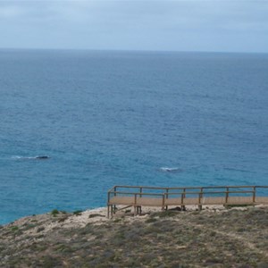 Head Of Great Australian Bight