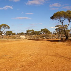 Emu