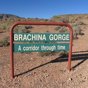 Brachina Gorge