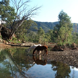 Brachina Gorge