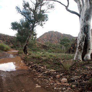 Brachina Gorge