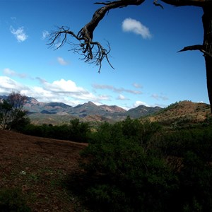 Bunyeroo Valley