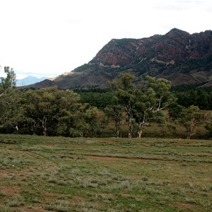 Bunyeroo Valley