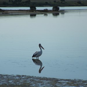 Streaky Bay