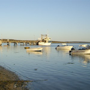 Venus Bay