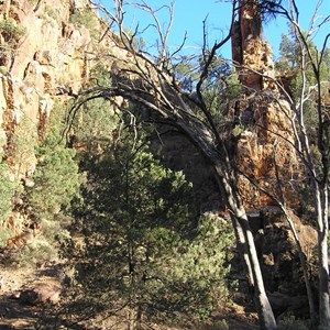 Warren Gorge