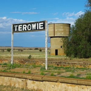 Terowie