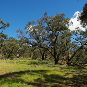 Peppermint Gully