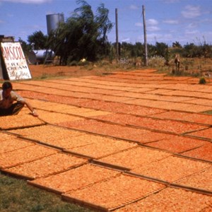 Sunlands Irrigation Area