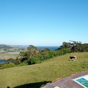 Braddons Lookout