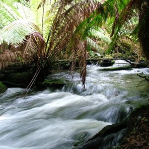 Junee Cave