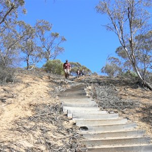 Mount Crozier