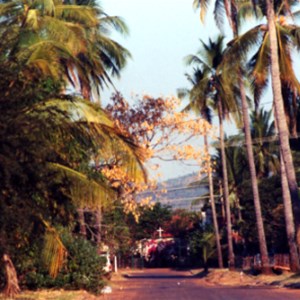 Kalumburu