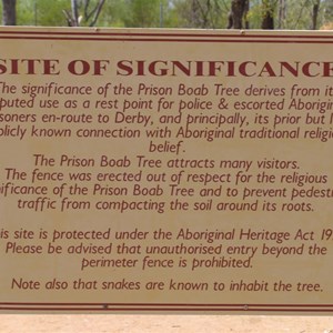 Prison Boab Tree