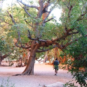 Windjana Gorge