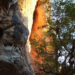 Windjana Gorge