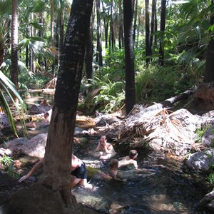 Zebedee Springs