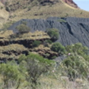 Wittenoom Gorge