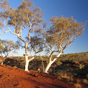 Track to Fortescue Falls drops into gorge